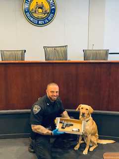 K9 Officer Finds Loaded Illegal Gun During Traffic Stop In Mamaroneck