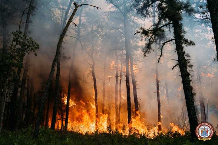 200-Acre Wildfire Encroaches On NJ Campground, Hiking Trails Closed