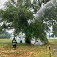 <p>An afternoon lightning strike caused a tree in Croton Point Park to catch on fire.</p>