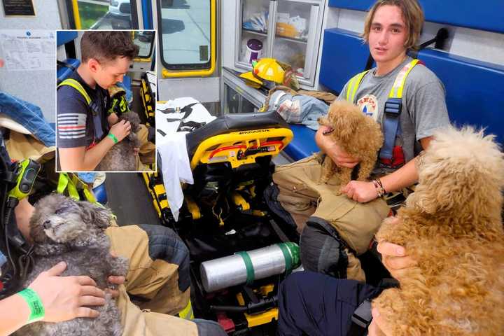 Firefighters Find Furry Friends At Ramsey House Blaze