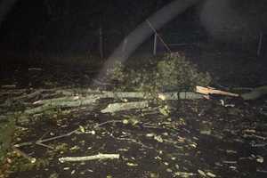 Fairfield Cleans Up Debris From Powerful Nor'easter