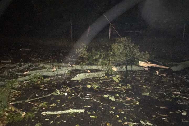 Fairfield Cleans Up Debris From Powerful Nor'easter