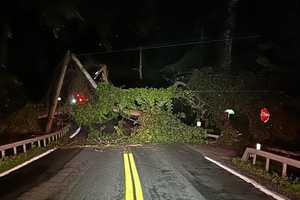 Fallen Tree, Broken Utility Poles Close Northern Westchester Road