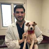 <p>Dr. Andrew Rosenberg with his skin patient and newly-adopted dog, Lillian.</p>