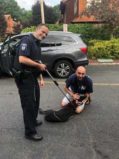 Dog That Ran Off During Fireworks Reunited With New City Owner