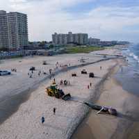 <p>Dead humpback whale in Long Branch Aug. 12.</p>