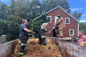 Dumpster Fire Ignites, Threatens Barn In Pound Ridge