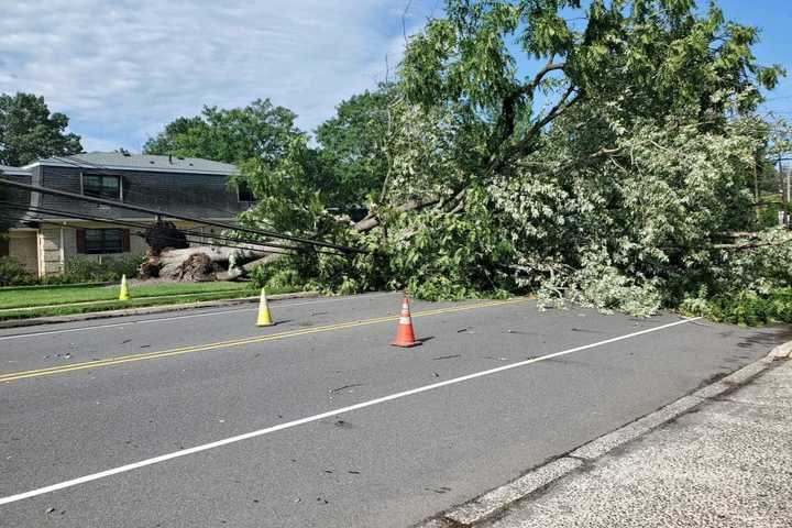 Hundreds Without Power In Sussex County Hours After Storm