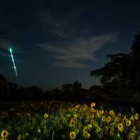 <p>New Jersey&#x27;s Werner Tedesco captured the fireball that lit up the mid-Atlantic Sunday, Sept. 3.</p>