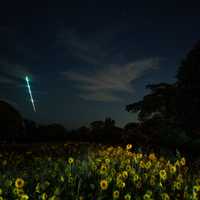 <p>New Jersey&#x27;s Werner Tedesco captured the fireball that lit up the mid-Atlantic Sunday, Sept. 3.</p>