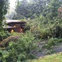 <p>A tree was knocked down and struck a Rockland County home.</p>