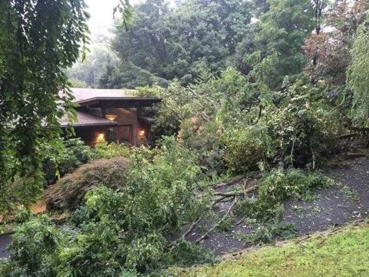 A tree was knocked down and struck a Rockland County home.