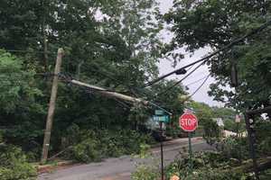 Toppled Tree Brings Down Power Lines, Shutting Down Several Tuckahoe Roads