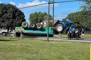 'Shit Show' In Shippensburg Street Halts Traffic (PHOTOS)