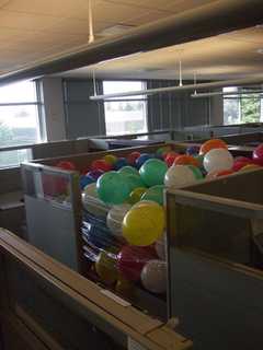 Let Loose For International Have Fun At Work Day, White Plains