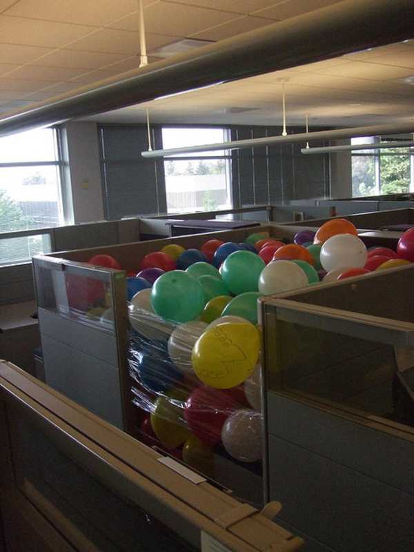 Let Loose For International Have Fun At Work Day, White Plains