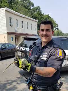 To The Rescue: Police Officers Help Corral Loose Iguana In Hudson Valley