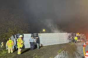 20 Cows Die In Newtown Tractor-Trailer Rollover Crash On I-84