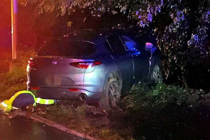 Driver Hospitalized After SUV Narrowly Misses Bus Shelter, Slams Into Tree On Route 17