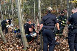 Woman Hospitalized After 50-Foot Fall At Westchester Hiking Trail