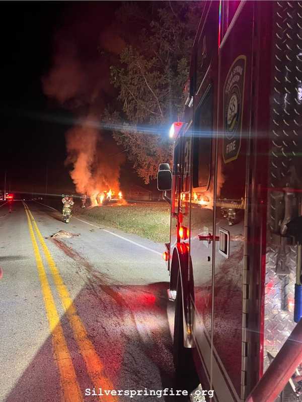 Car Burst Into Flames After Striking Deer Dead In Central PA (PHOTOS)