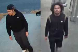 Know Them? Suspects Involved In Danielson Robbery Incident, Police Say