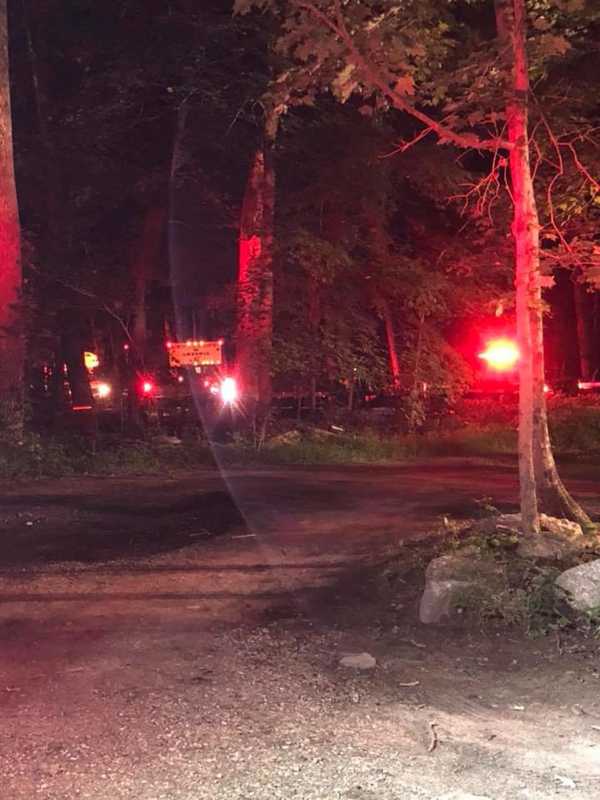 Hikers Rescued After Swarm Of Bees Attack In Woods Near Area Nature Center