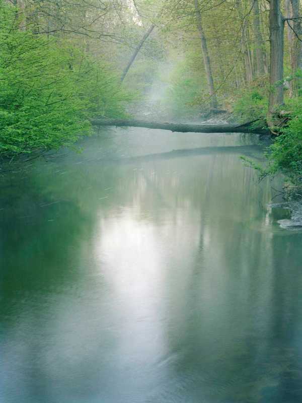 Bruce Museum Offers Mianus River Gorge Photo Exhibit