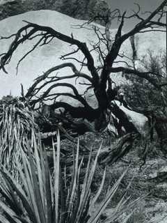 Abstract Photographer's Work Featured In New Greenwich Exhibition