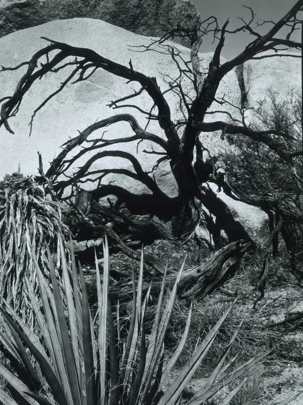 Abstract Photographer's Work Featured In New Greenwich Exhibition