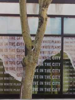 Vacant Storefronts In Downtown White Plains Revived With Art, Poetry
