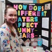<p>This project using Gummy Bears was showcased at the recent STEMFest held March 5 at the Southern Westchester BOCES Center for Career Services in Valhalla.</p>