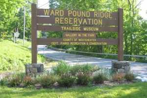 Lost Hiker Found In Westchester's Largest Park