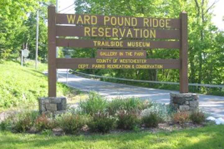 Lost Hiker Found In Westchester's Largest Park