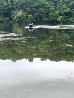 Man Jumps To His Death From Bridge On Hudson Valley Parkway