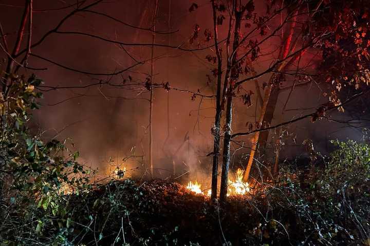 Brush Fire Ignites Near Residential Street In Croton-On-Hudson