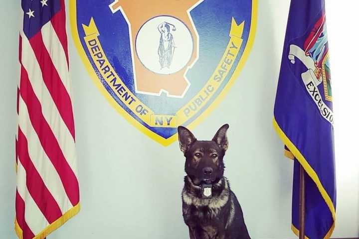 Retired Westchester Police K-9 Dies: 'We Are Grateful,' Department Says