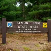 Wildfire Consumed 35 Acres In Pine Barrens Forest, Elevated Risk Across NJ Reported