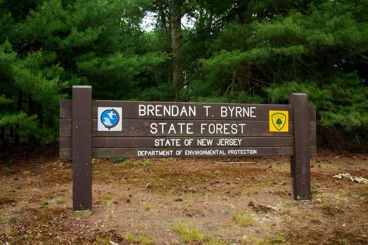 Wildfire Consumed 35 Acres In Pine Barrens Forest, Elevated Risk Across NJ Reported