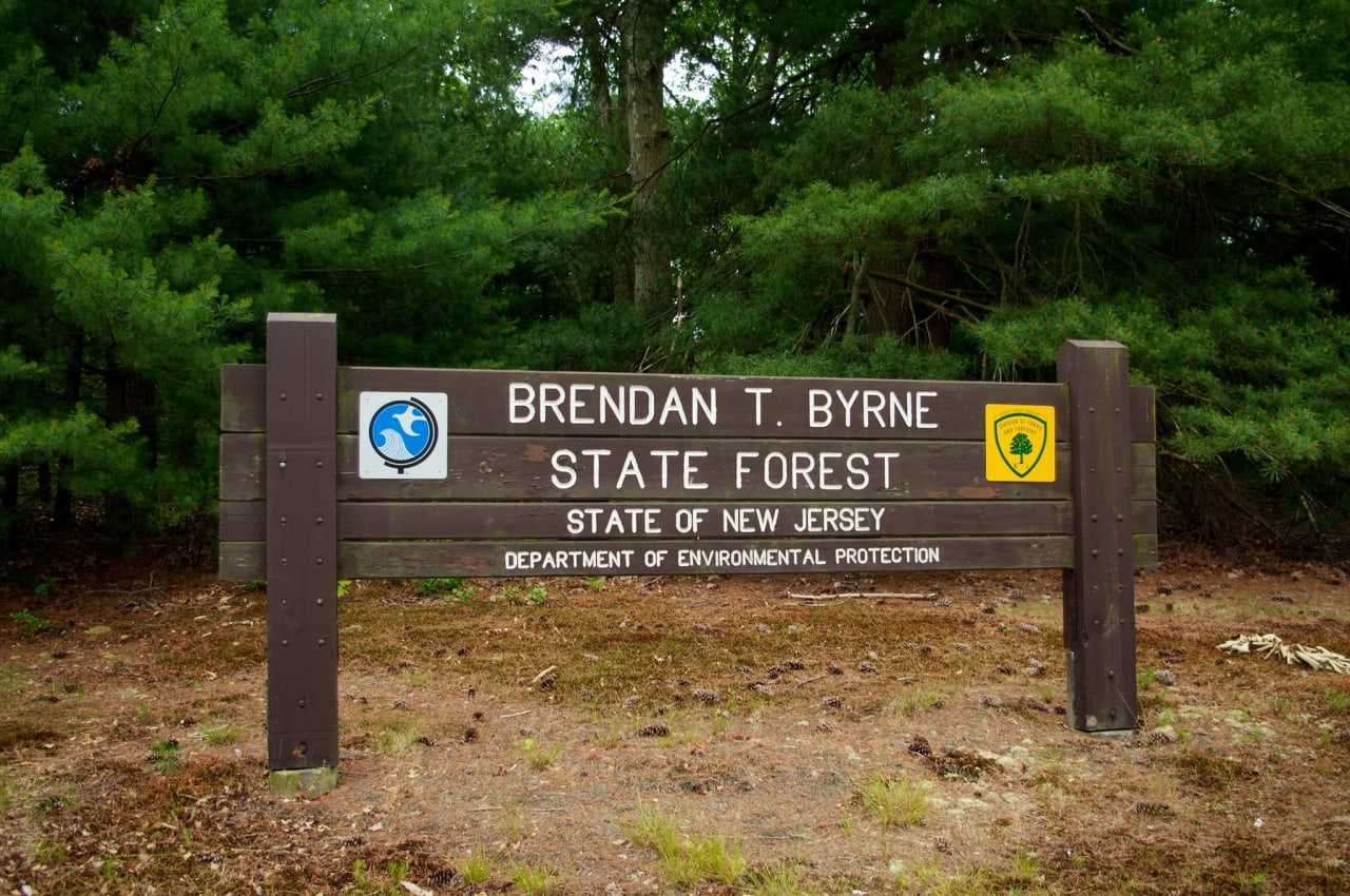 Man Drowns In Reservoir At Brendan T. Byrne State Forest | Burlington ...