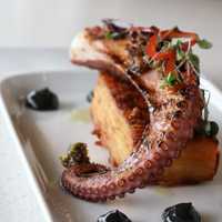 <p>Grilled octopus.&nbsp;</p>