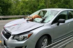 Driver Hospitalized After Deer Slams Into Car On I-84