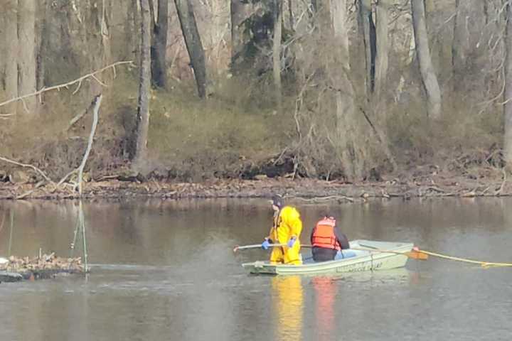 Jefferson Township FD Helps Rescue Swan (VIDEO)