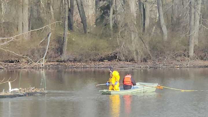 A swan was rescued by&nbsp;Jefferson Township Fire Company.