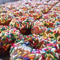 <p>Top That! Donuts is opening in Rutherford.</p>