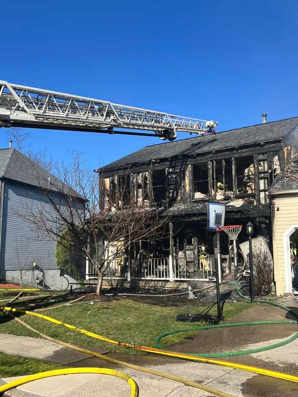 Dogs, Hedgehog Rescued From Fast-Moving Frederick House Fire (PHOTOS)