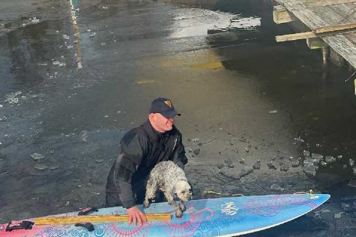 Trooper Rescues Dog Who Fell Through Ice On Lake Hopatcong: NJSP