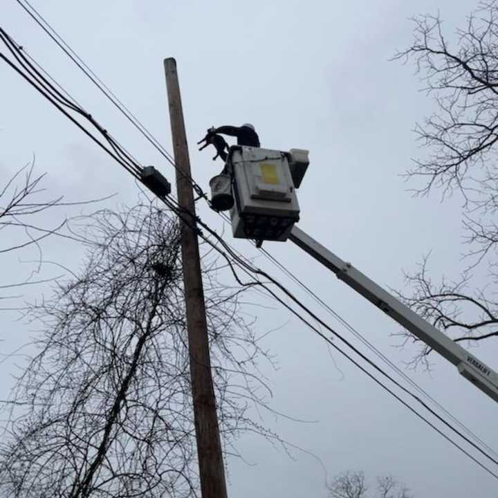 A cat being rescued.