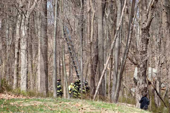 Budd Lake firefighters rescuing a cat.