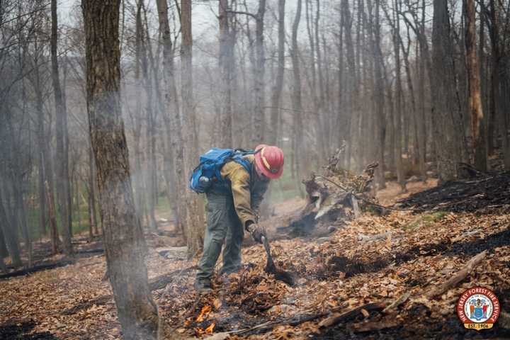 34-Acre Wildfire Off Route 80 Fully Contained After More Than 24 Hours